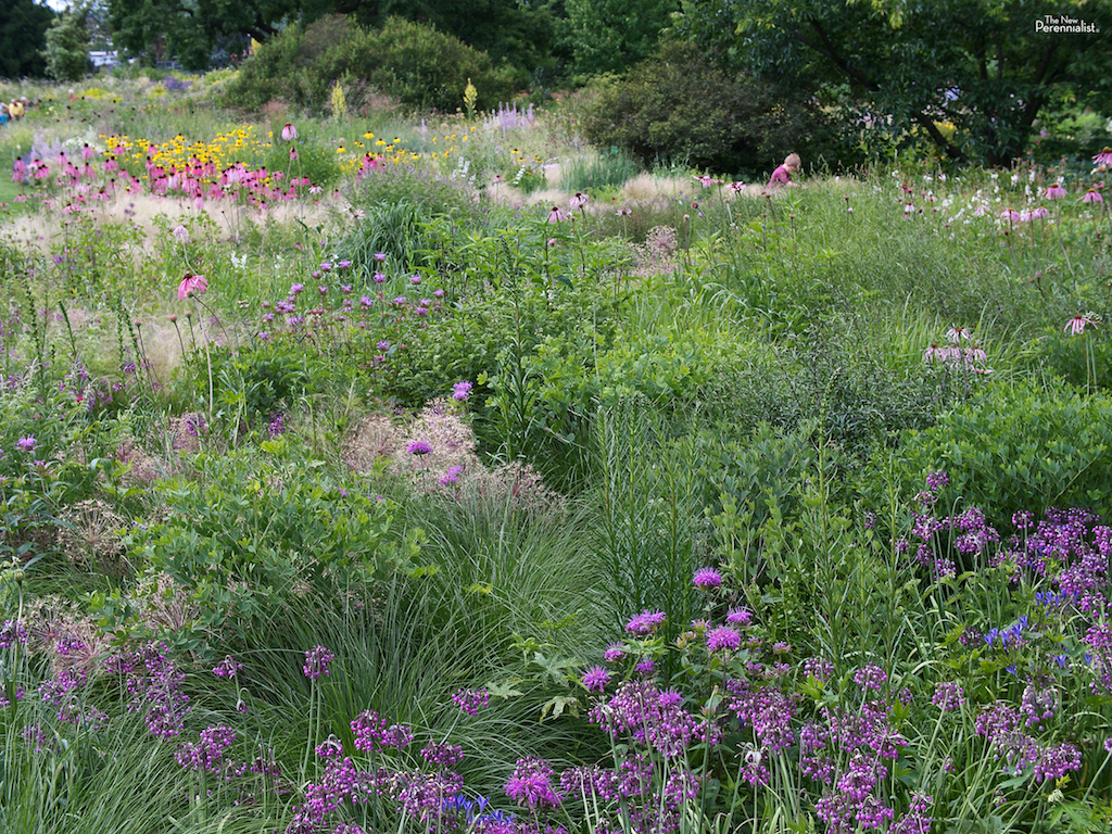 People Share Their Nightmare-Landlord Stories