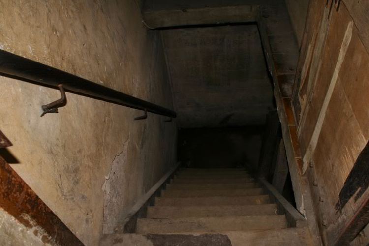 Man Digs After Hearing Strange Noises In Basement Then Regrets It