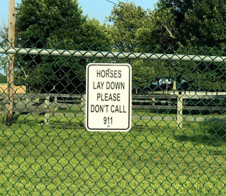 25 Hilarious Signs People Have Put Up In Their Yards